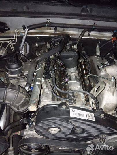 Двигатель GW4D20 Ховер Н5