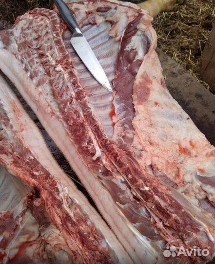 Молодая свинина,домашнего содержания.Полутушки и т