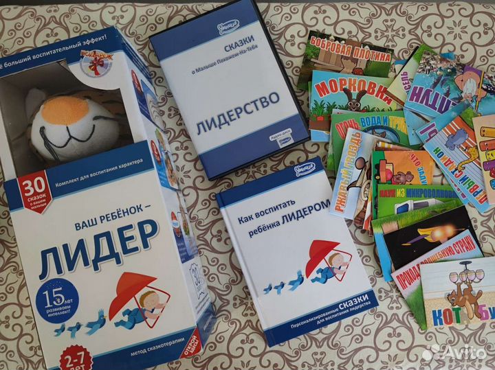 Лидер сказки, книга