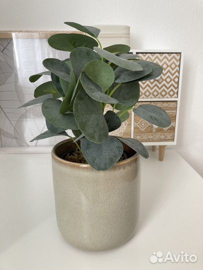 Кашпо и цветок Sinsay - декор