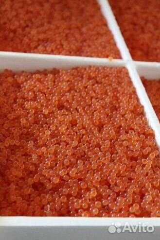 Икра форели оплодотворенная