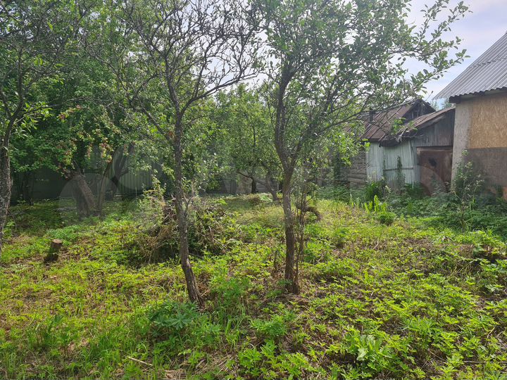 Участок 5,5 сот. (СНТ, ДНП)