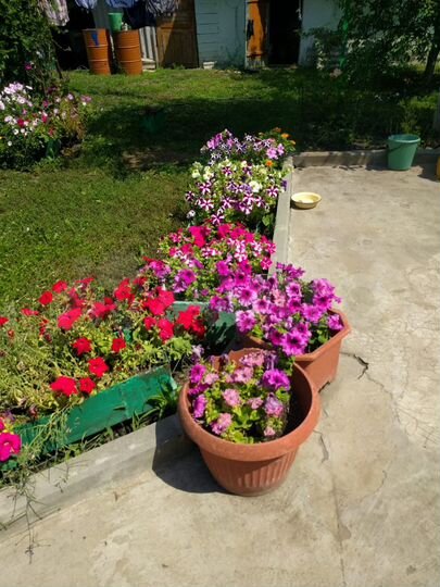 Дом 38 м² на участке 9,7 сот.