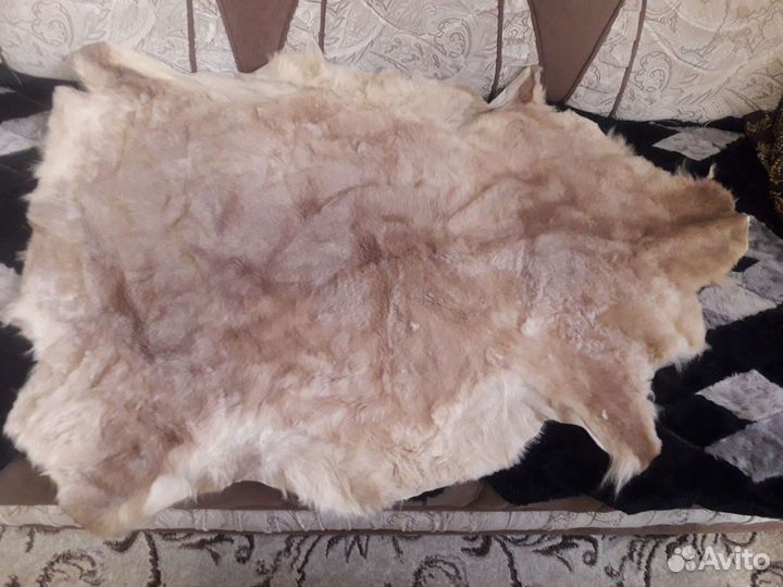 Овечья шкура