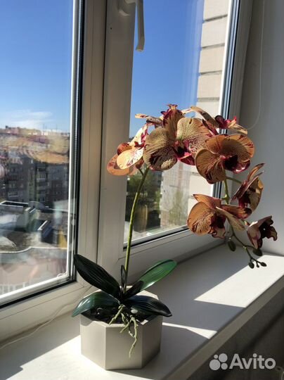 Орхидея фаленопсис искусственная