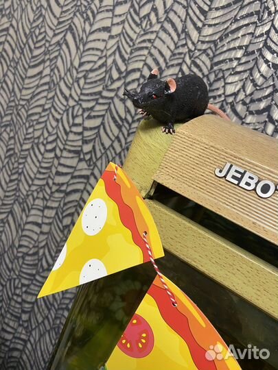 Набор для праздника