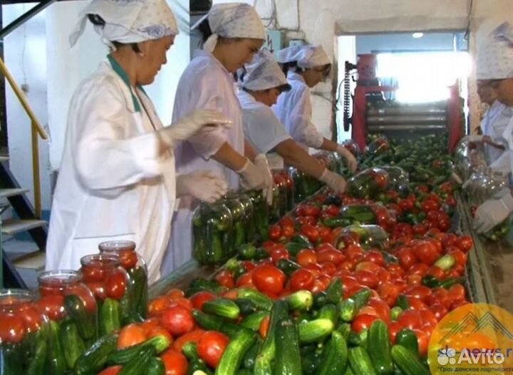 Упаковщицы. Вахтой