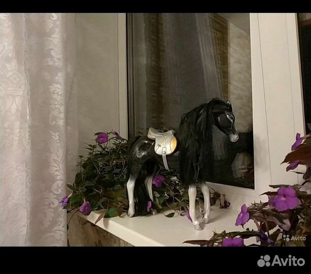 Лошадь черная