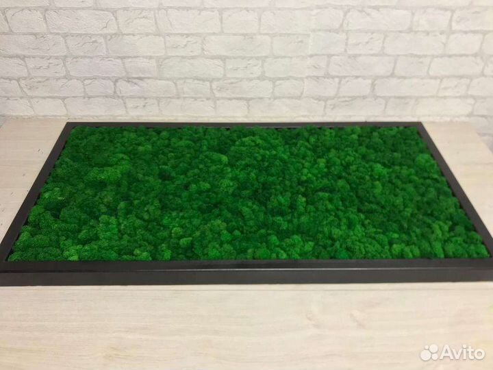 Панно из стабилизированного мха