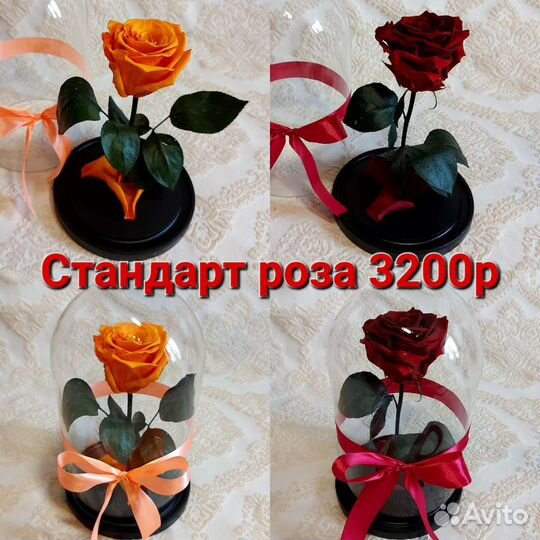 Живая роза в колбе