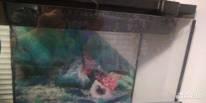 Аквариум