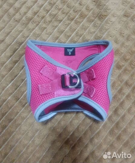 Шлейка для собак