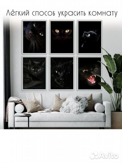 Наборы постеров/ плакатов