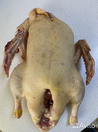 Мясо утки муларда