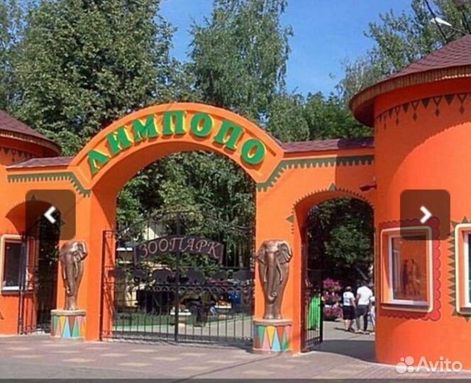 Пассажирские поездки, Трансфер,такси межгород