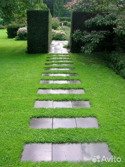 Рулонный газон от производителя