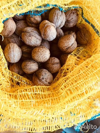 Орех грецкий