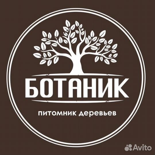 Разнорабочий