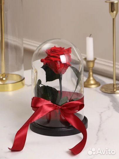 Роза красная в колбе.Размер М+Доставка по РФ