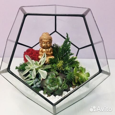 Флорариум с живыми растениями
