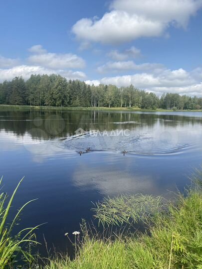 Участок 20 сот. (ИЖС)