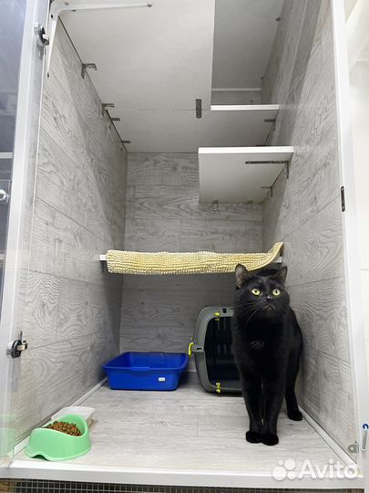 Зоогостиница/Передержка животных