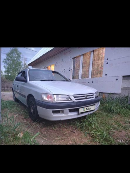 Toyota Corona Premio: фото владельца