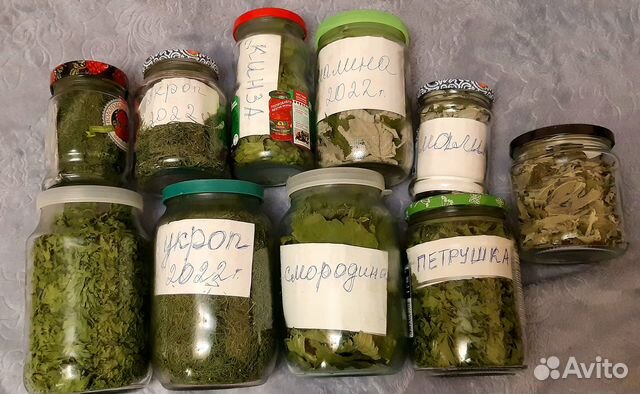 Петрушка, укроп, малина