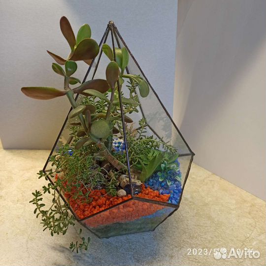 Флорариум 20 на 25 см