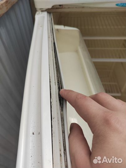 Холодильник stinol