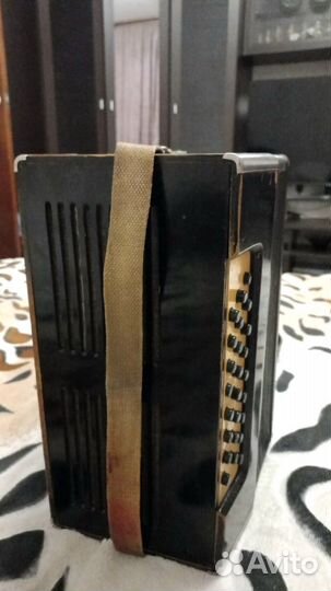 Гармонь СССР