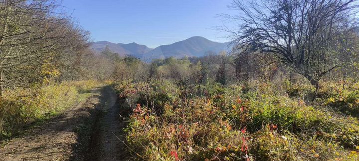 Участок 1,83 га (СНТ, ДНП)