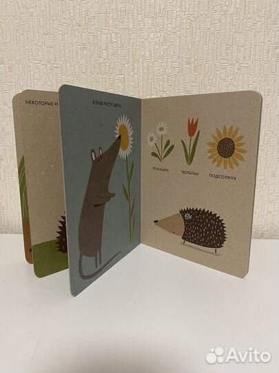 Экокниги детские. Серия. Виле Катрин