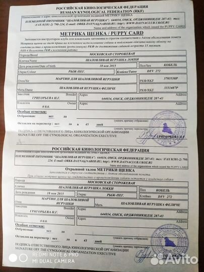 Кобель Московская сторожевая для вязки