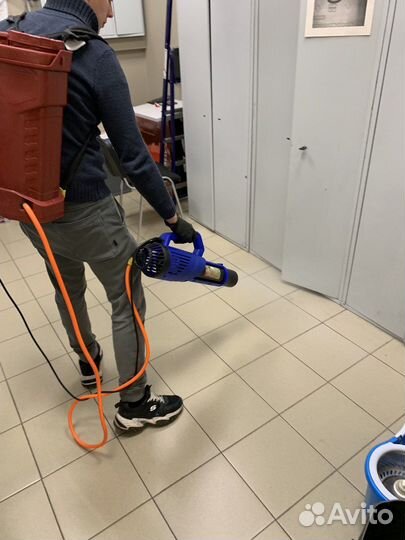 Дезинфекция от тараканов, клопов