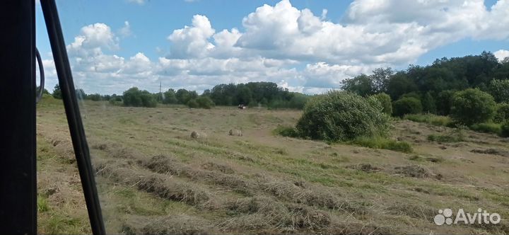 Сено в рулонах