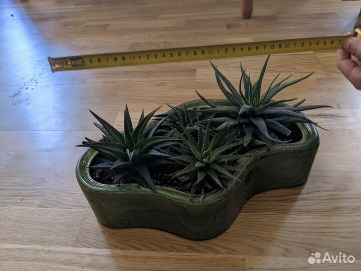 Цветочная композиция