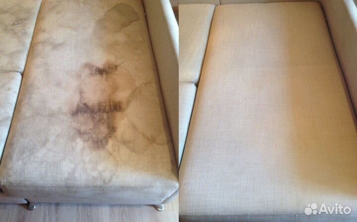 Моющий пылесос в аренду в прокат