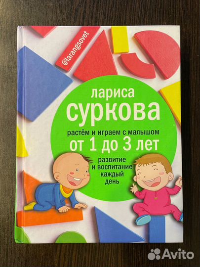 Книга Ларисы Сурковой