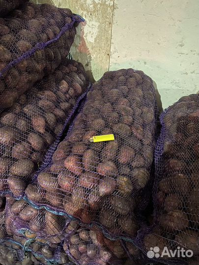 Продам картофель оптом