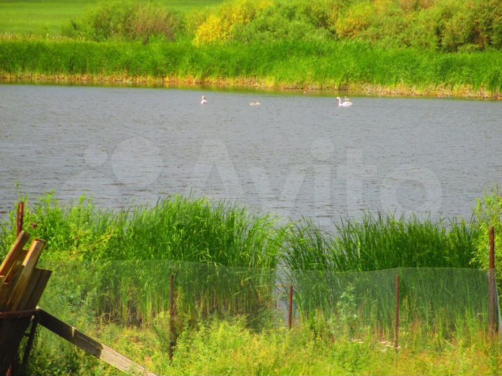 Участок 46,5 га (СНТ, ДНП)