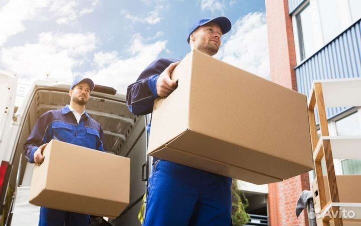 Грузчик с ежедневной оплатой