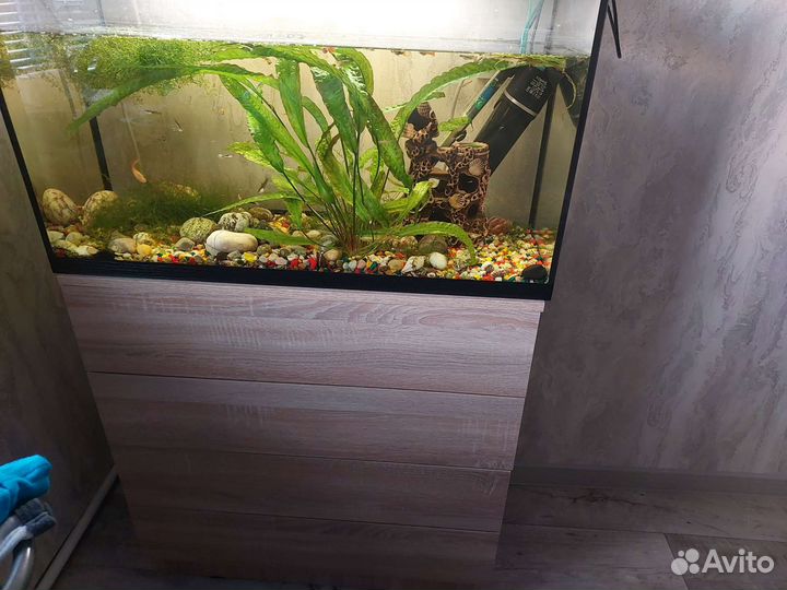 Аквариум на 120 литров