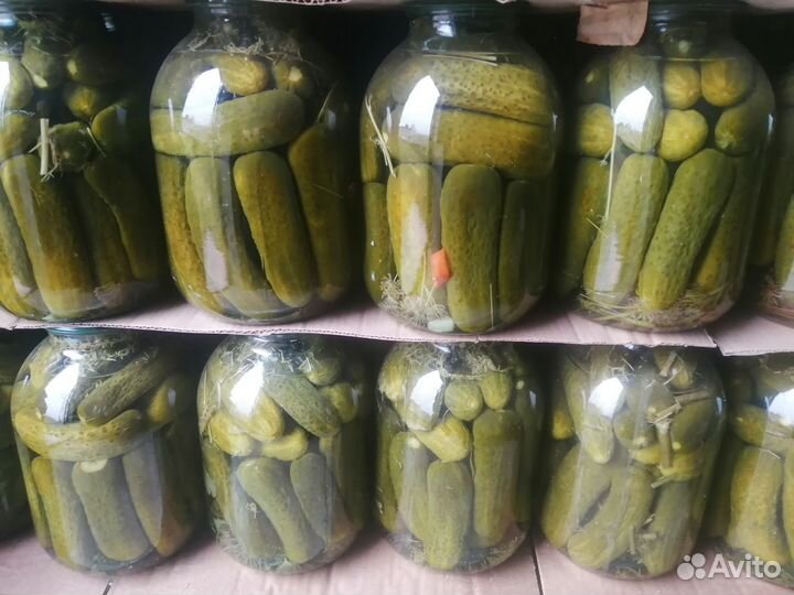 Огурцы маринованные домашние