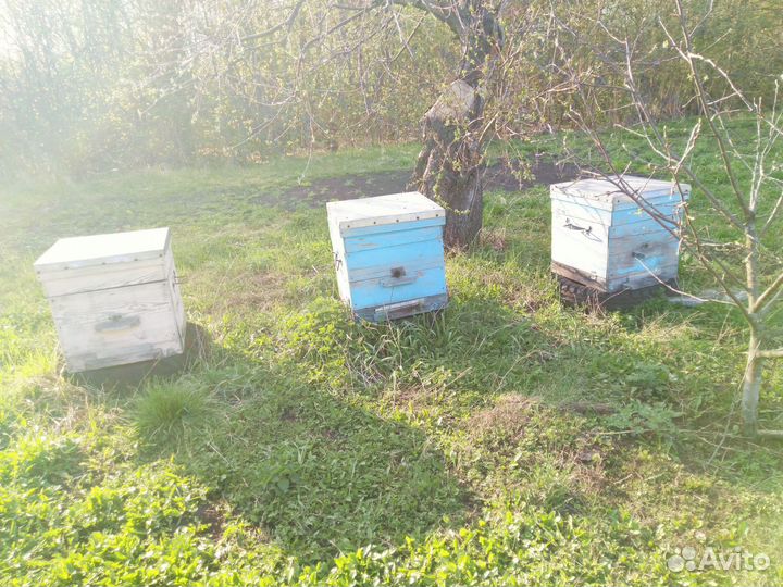 Улей для пчёл бу