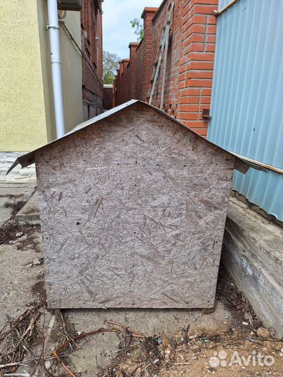 Собачья будка