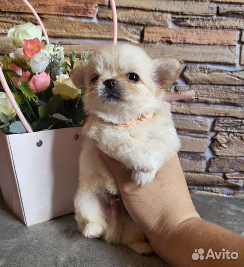 Мальчики красавчики