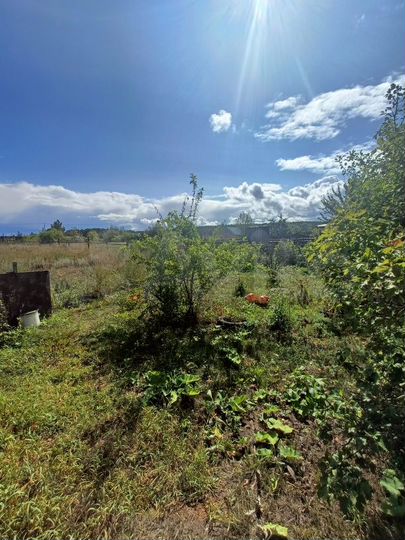 Дом 46,5 м² на участке 16,6 сот.