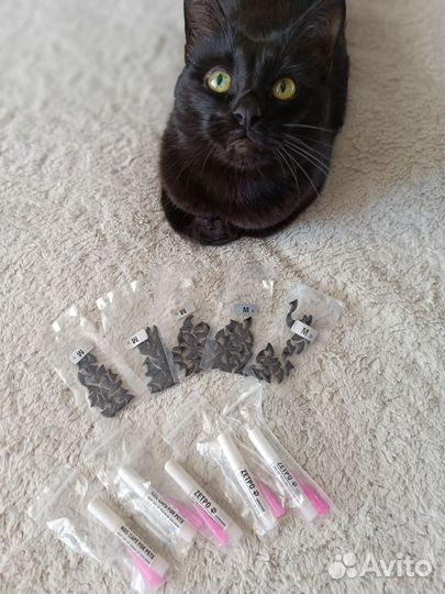 Антицарапки для взрослых кошек