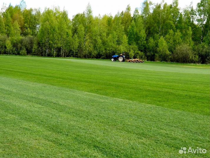 Рулонный газон от производителя